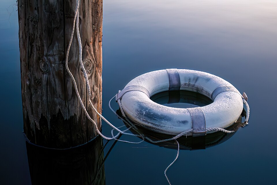 Lifebuoy Ring